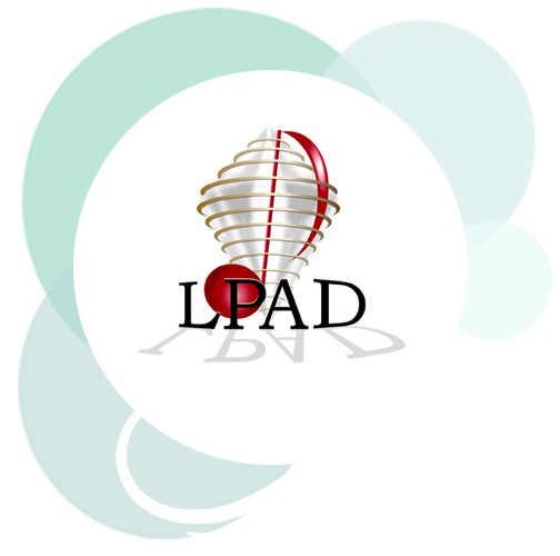Professional logo creation