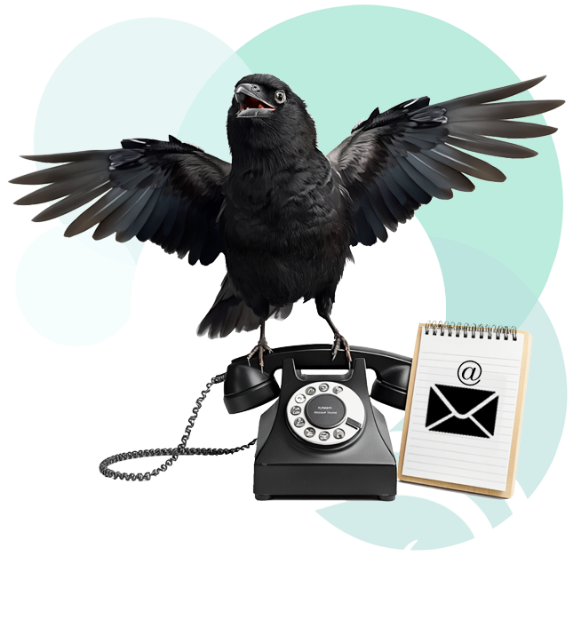  a little crow with a phone and message board