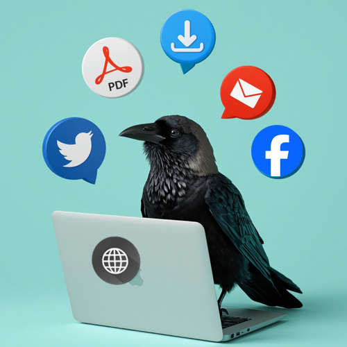 illustration of crow working on Digital Design