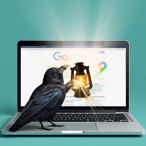 illustration of crow on a laptop working on search engine optimization