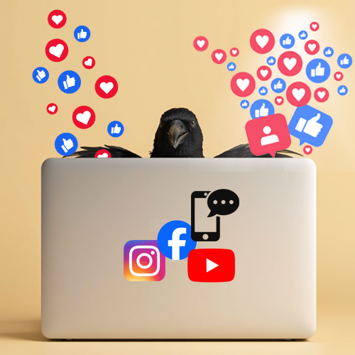 illustration of crow on a laptop working on social sharing optimization for a website