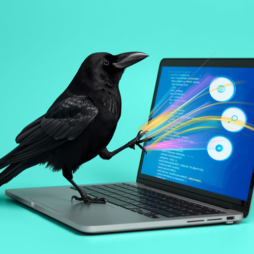 illustration of a happy crow on a laptop working on Search Engine Optimization SEO