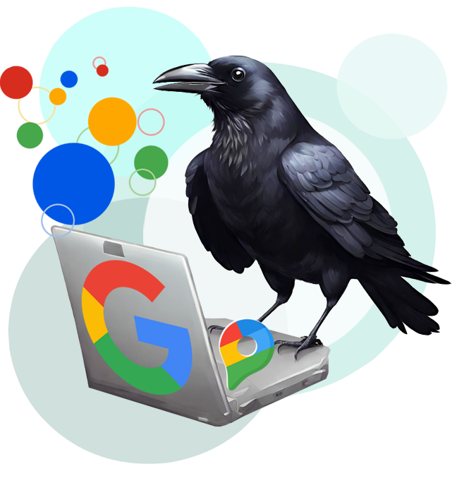 graphic of a crow working on Google Business Profile Services for CT professionals
