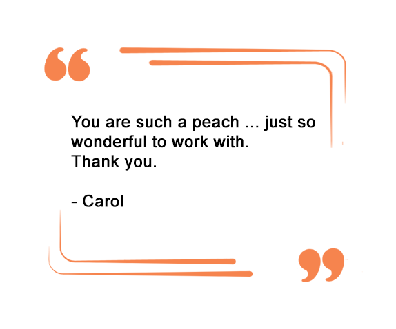 client comments for website blog and email newsletter