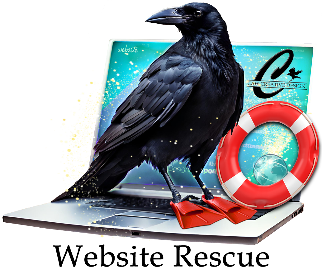 illustration of a crow on a laptop with a lifebuoy and flippers